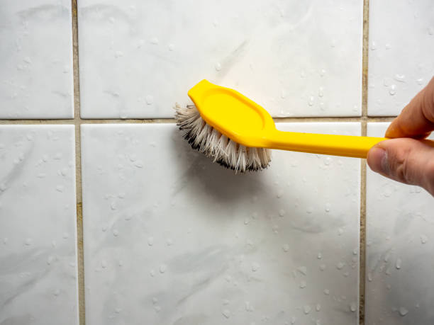 Best Residential Mold Removal  in Palos Verdes Estates, CA