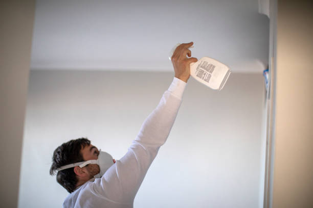 Best Same-Day Mold Removal  in Palos Verdes Estates, CA