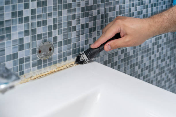 Best Local Mold Removal Service  in Palos Verdes Estates, CA